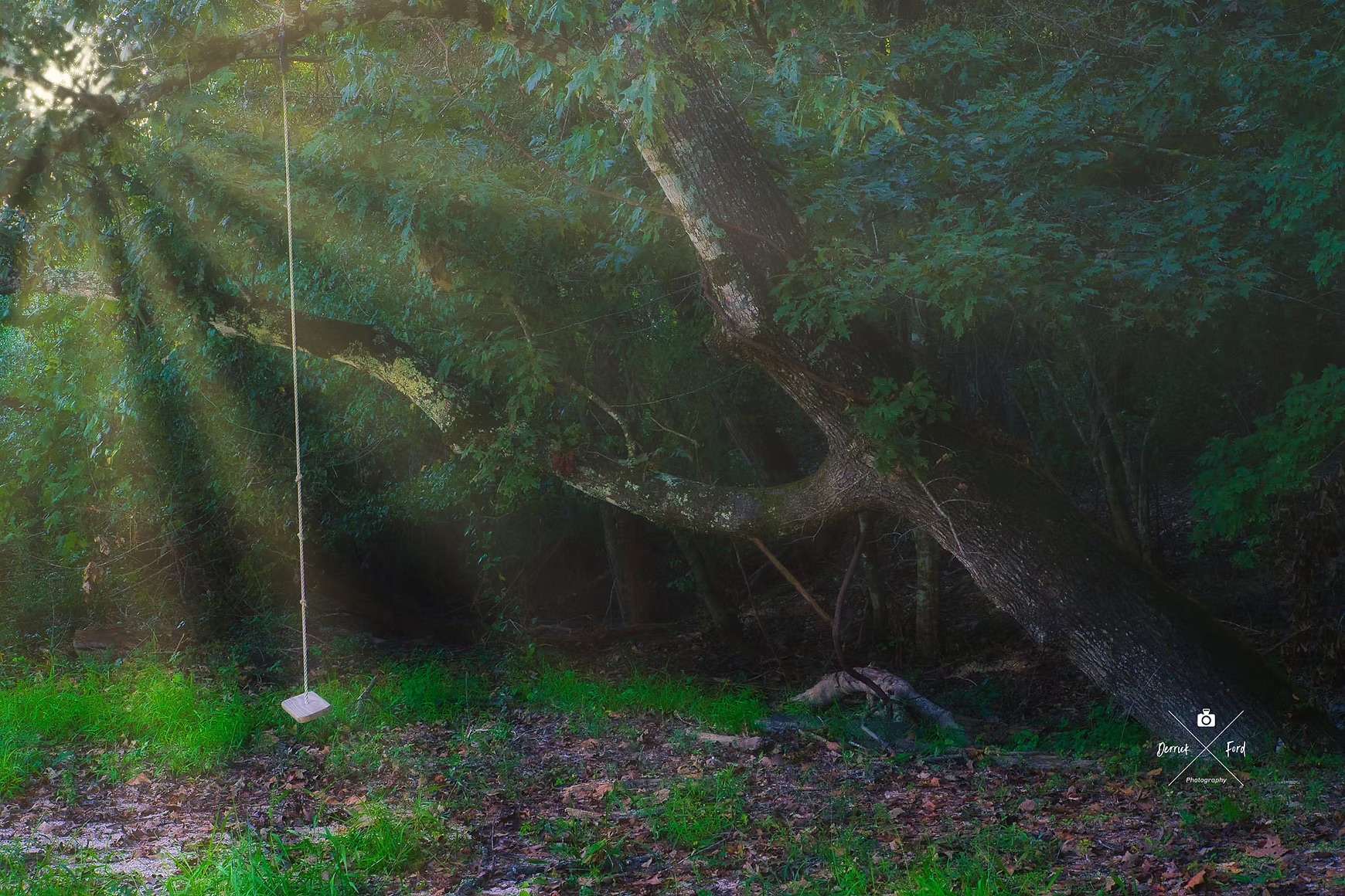 Cabin exterior surrounded by trees
